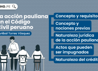 La acción pauliana en el Código Civil peruano