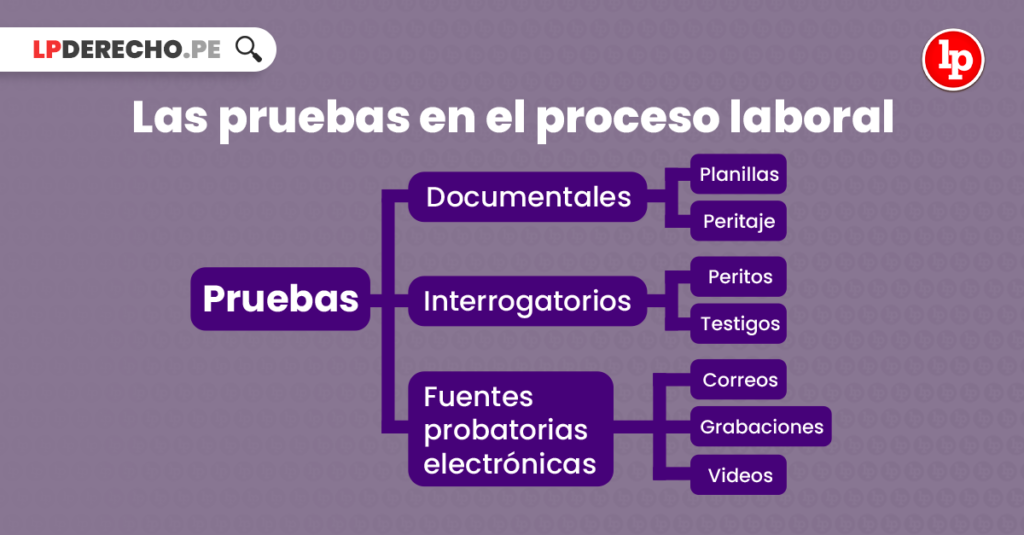 La Prueba En El Proceso Laboral Ordinario Lp 6407