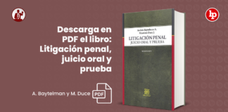 Descarga en PDF el libro: Litigación penal, juicio oral y prueba de A. Baytelman y M. Duce