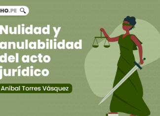 Nulidad y anulabilidad del acto jurídico