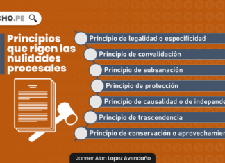 Principios que rigen el laberinto de las nulidades procesales en nuestro ordenamiento juridico con logo de LP