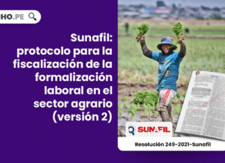 Sunafil: protocolo para la fiscalización de la formalización laboral en el sector agrario (versión 2)
