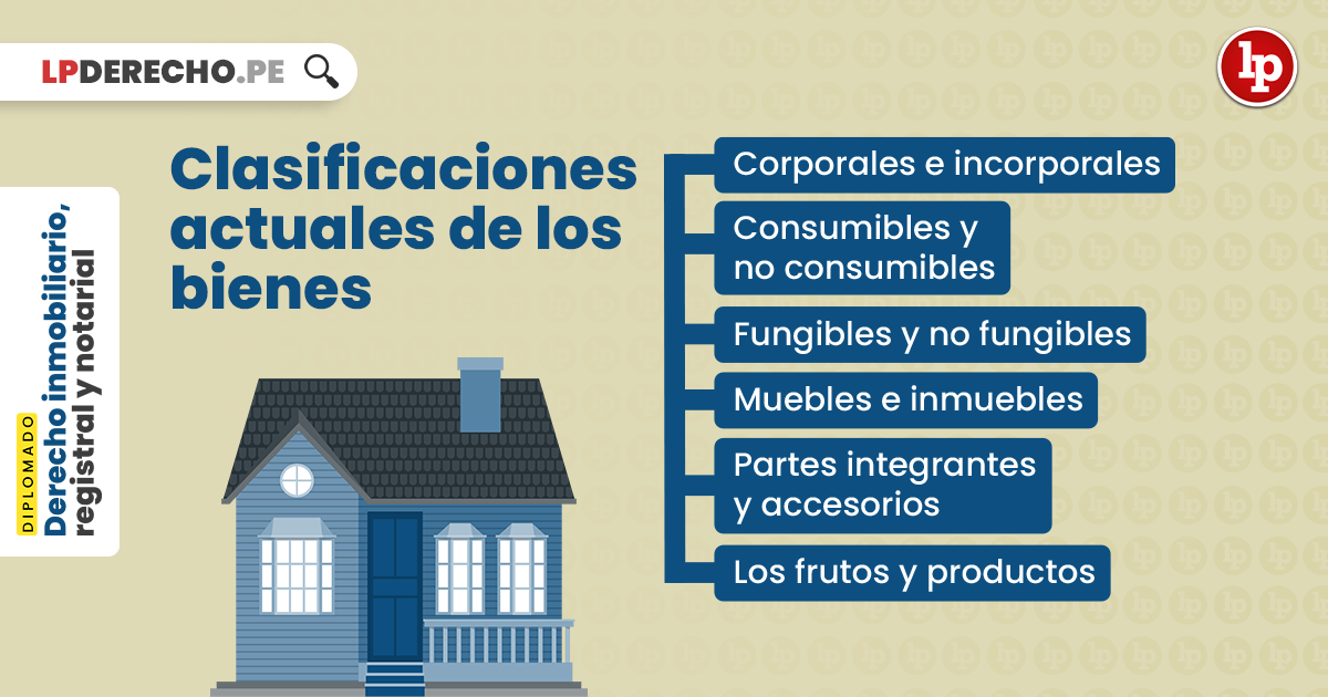 Qué son los bienes de consumo y qué tipos hay?