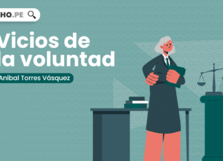 Vicios de la voluntad