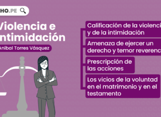 Violencia e intimidación en el acto jurídico, bien explicado por Aníbal Torres Vásquez Violencia e intimidación-LP