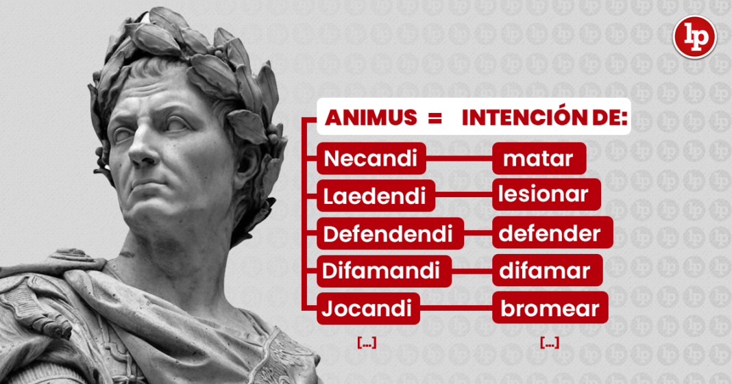 Animus-derecho-penal