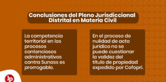 Conclusiones del Pleno Jurisdiccional Distrital en Materia Civil - LPDerecho
