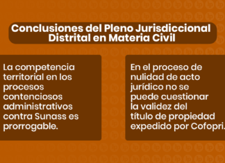 Conclusiones del Pleno Jurisdiccional Distrital en Materia Civil - LPDerecho