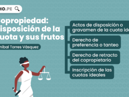 Copropiedad: disposición de la cuota y sus frutos, explicado por Aníbal Torres Vásquez