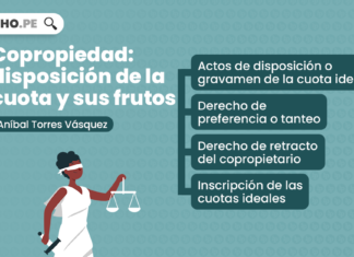 Copropiedad: disposición de la cuota y sus frutos, explicado por Aníbal Torres Vásquez