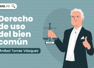 Derecho de uso del bien común, explicado por Aníbal Torres Vásquez