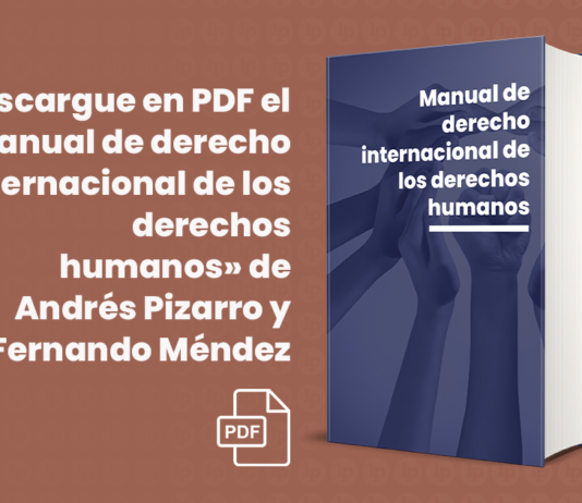 Descargue en PDF el «Manual de derecho internacional de los derechos humanos» de Andrés Pizarro y Fernando Méndez