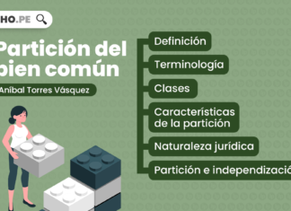 Partición del bien común, explicado por Aníbal Torres Vásquez