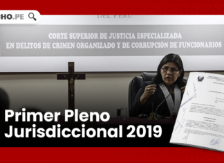 Primer Pleno Jurisdiccional 2019-LP