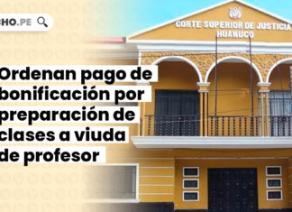 bonificacion-preparacion-viuda-profesor-LP
