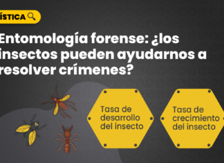 entomologia-forence-ayudarnos-crimenes-LP