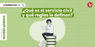 ¿Qué es el servicio civil y qué reglas lo definen?