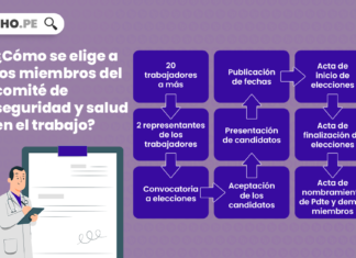 ¿Cómo se elige a los miembros del comité de seguridad y salud en el trabajo?
