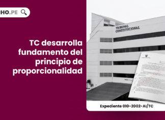 TC desarrolla fundamento del principio de proporcionalidad
