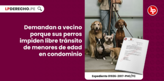 Demandan a vecino porque sus perros impiden libre tránsito de menores de edad en condominio [Exp. 01936-2017-PHC/TC]