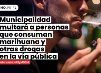 Municipalidad multará a personas que consuman marihuana y otras drogas en la vía pública [Ordenanza 449/MDSM]