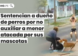 Sentencian a dueño de perros por no auxiliar a menor atacada por sus mascotas Sentencian a dueño por perros - LPDerecho