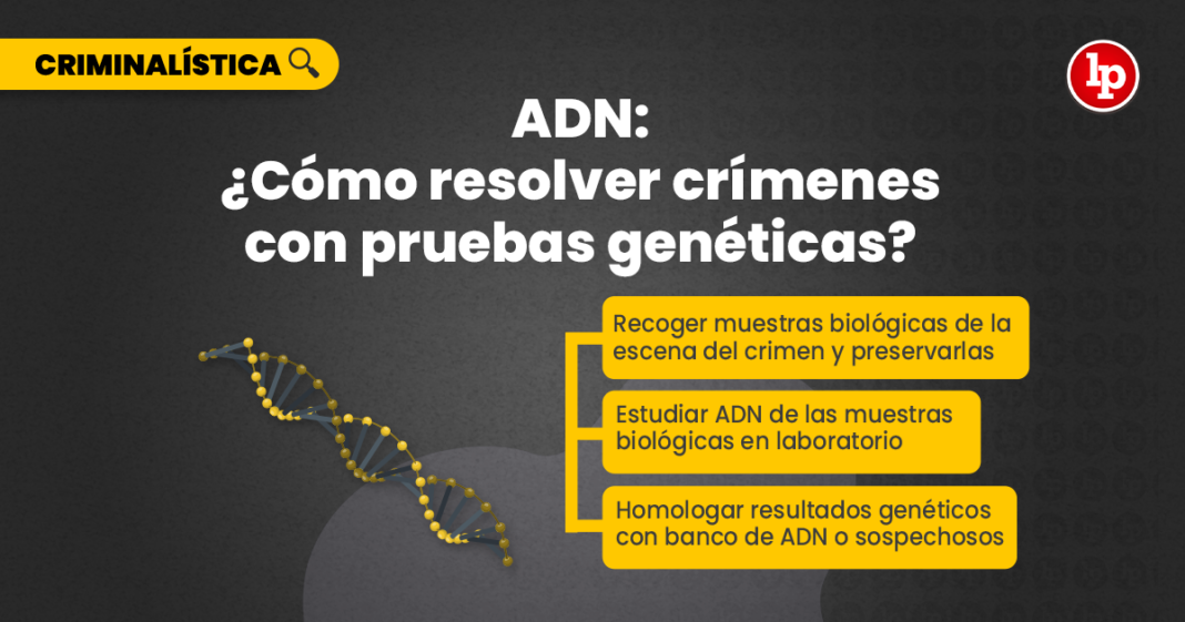 ADN crímenes pruebas genéticas