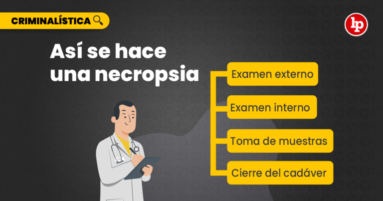 [VIDEO] ¿Cómo Hacer Correctamente Una Necropsia? | LP