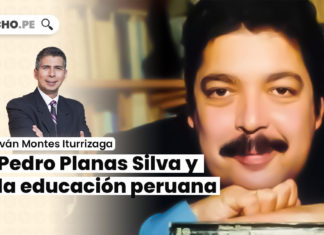 pedro-planas-silva-educacion-peruana-LP