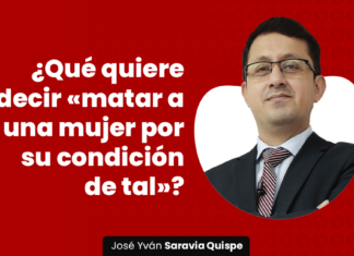 ¿Qué quiere decir «matar a una mujer por su condición de tal»? que-quiere-decir-matar-mujer-condicion-tal-LP