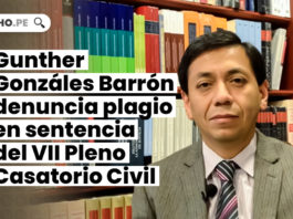 Gunther Gonzáles Barrón denuncia plagio en sentencia del VII Pleno Casatorio Civil