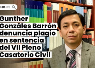 Gunther Gonzáles Barrón denuncia plagio en sentencia del VII Pleno Casatorio Civil