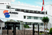 Sunedu: Ya no se colocará la modalidad de estudios en diplomas para evitar discriminación a quienes estudiaron en la modalidad virtual
