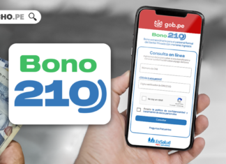 Bono 210