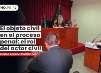 objeto-civil-proceso-penal-rol-actor-civil-LP