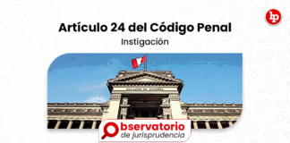 articulo-24-codigo-instigacion-LP