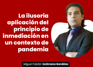 ilusoria-aplicaiones-principio-inmediacion-contexto-pandemia-LP