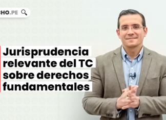 jurisprudencia-relevante-tc-derechos-fundamentales-LP