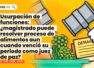usurpacion-funciones-magistrado-proceso-alimentos-vencio-periodo-juez-paz-LPDERECHO