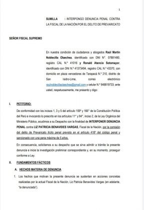 Abogados Presentan Denuncia Contra La Fiscal De La Nación Por ...