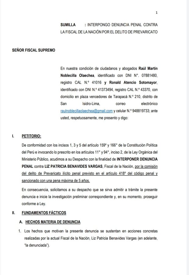 Abogados presentan denuncia contra la fiscal de la nación por prevaricato |  LP