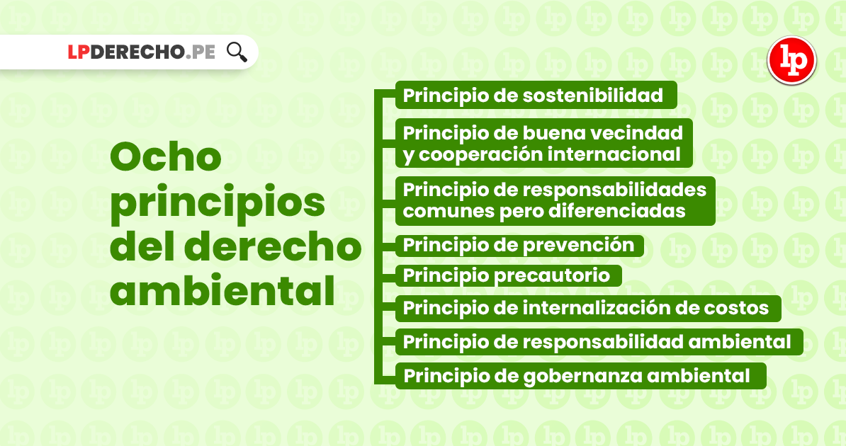 Ocho Principios Del Derecho Ambiental Lp 0841