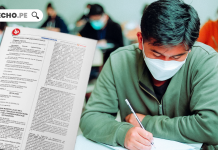 Ley 32551: Modifican la Ley Universitaria para garantizar la continuidad académica de docentes universitarios nombrados bajo la derogada Ley 23733