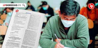 Ley 32551: Modifican la Ley Universitaria para garantizar la continuidad académica de docentes universitarios nombrados bajo la derogada Ley 23733