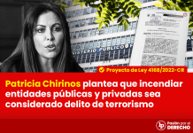 patricia-chirinos-plantea-incendio-entidades-publicas-privadas-considerado-delito-terrorismo-1-LPDERECHO