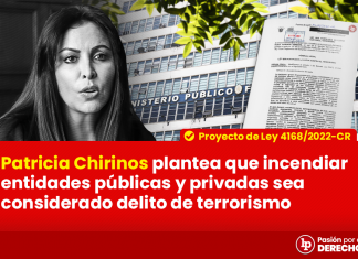 patricia-chirinos-plantea-incendio-entidades-publicas-privadas-considerado-delito-terrorismo-1-LPDERECHO