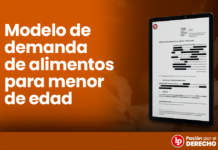 Modelo de demanda de ofrecimiento de pago por concepto de pensión  alimenticia | LP