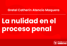 La nulidad en el proceso penal