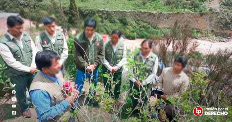 Reglamento De La Ley Del Cuerpo De Guardaparques Del Perú [decreto