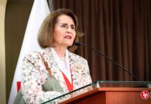 Presidenta del TC propuso al Pleno de la Corte IDH que evalúe aceptar el «margen de apreciación» de los tribunales nacionales